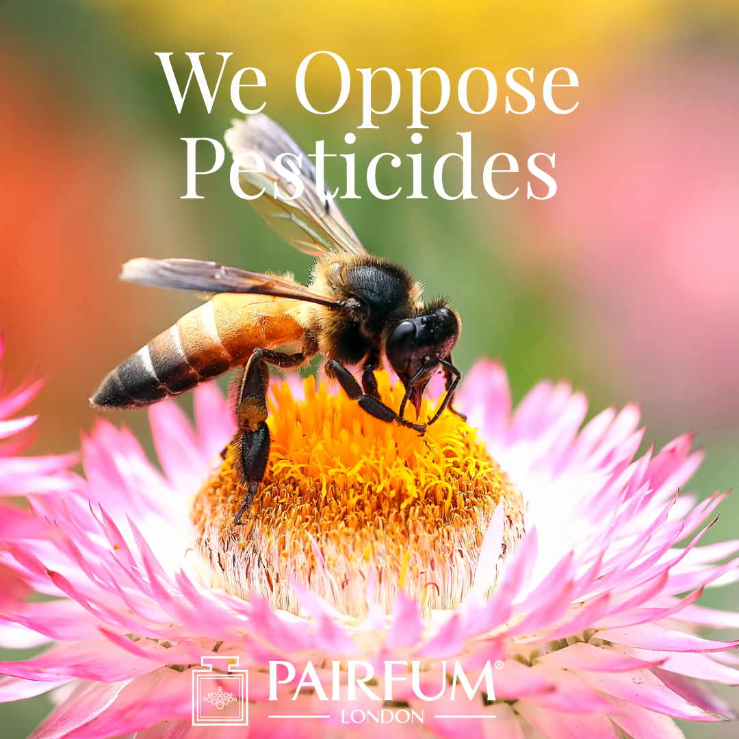 Pairfum London Opposes Bee Killing Pesticides Pollinator 1 1
