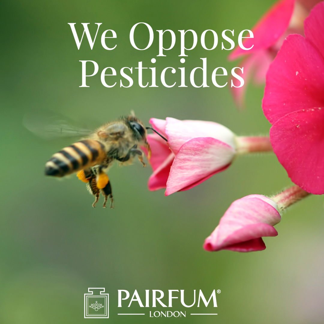 Pairfum London Opposes Pesticides Killing Bees Pollinator 1 1