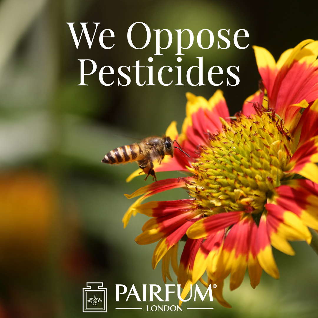 Pollinator Pairfum London Opposes Bee Killing Pesticides 1 1