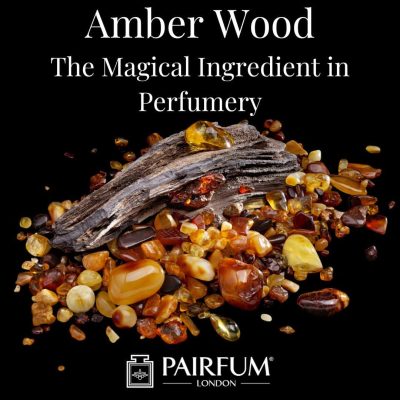 Amber Wood