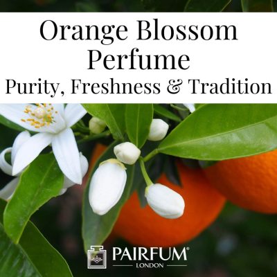 Orange Blossom Perfume