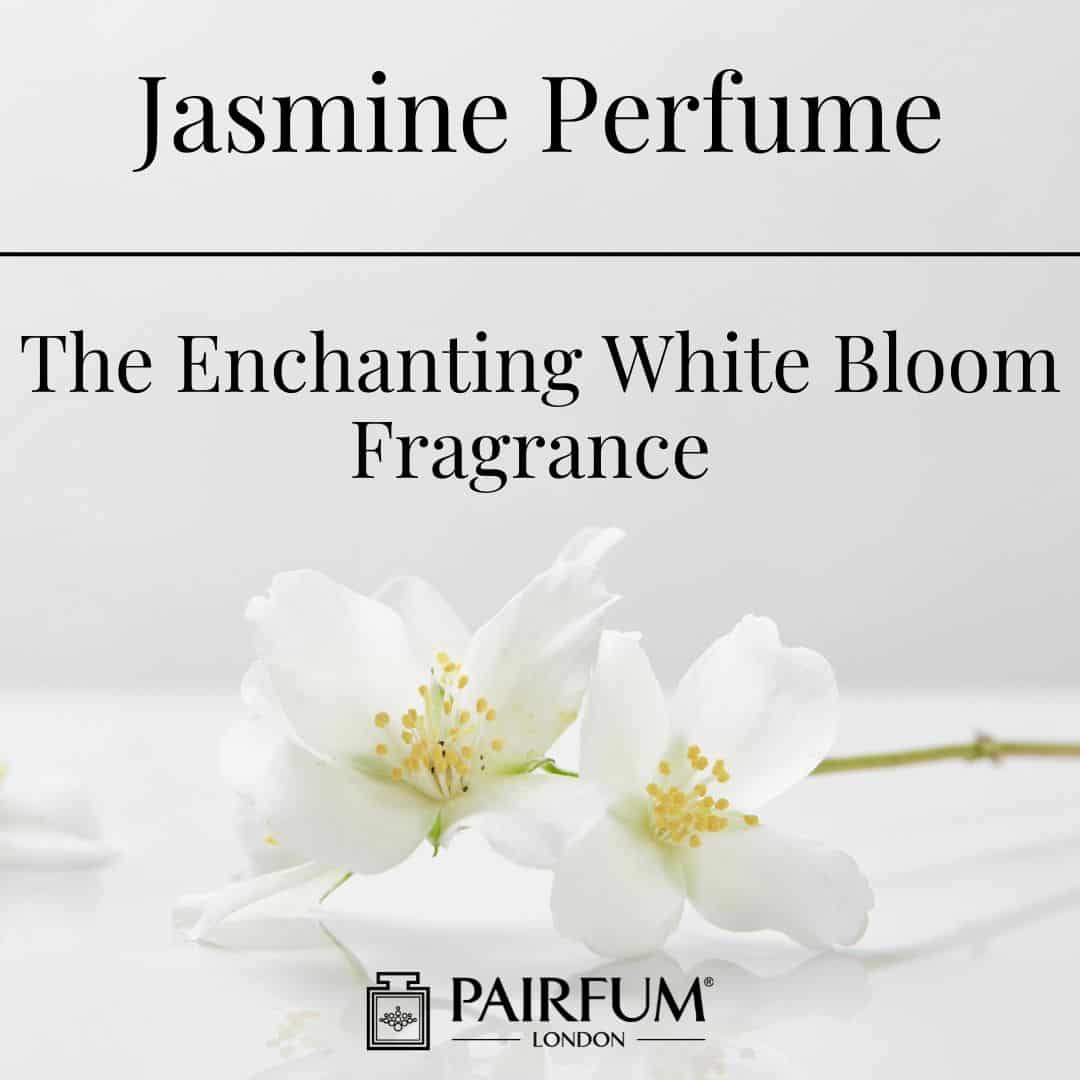 Jasmine Perfume