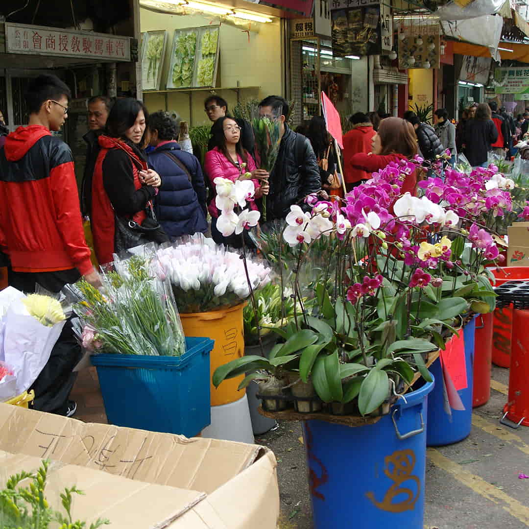 Pairfum London Chinese Flower Bazaar