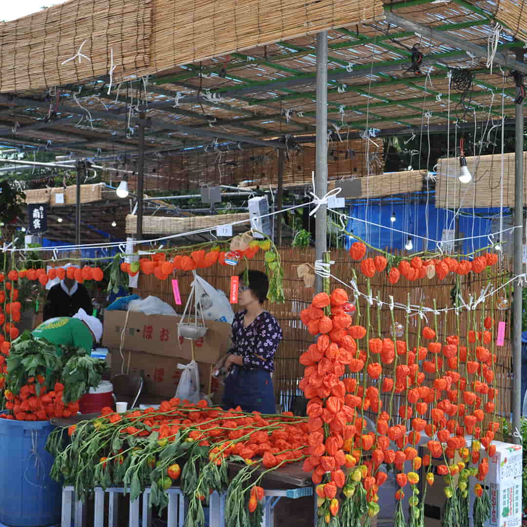 Pairfum London Chinese Flower Bazaar Shanghai